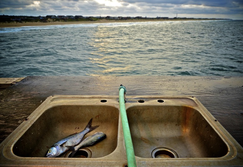 Fresh Fish at Cleaning Station on the Pier