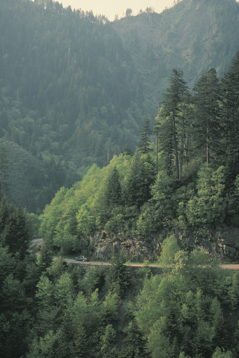 Road in the mountains