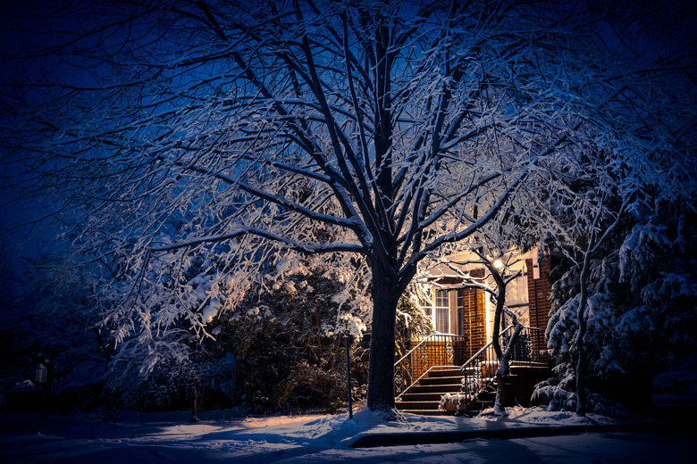 Covered in Snow