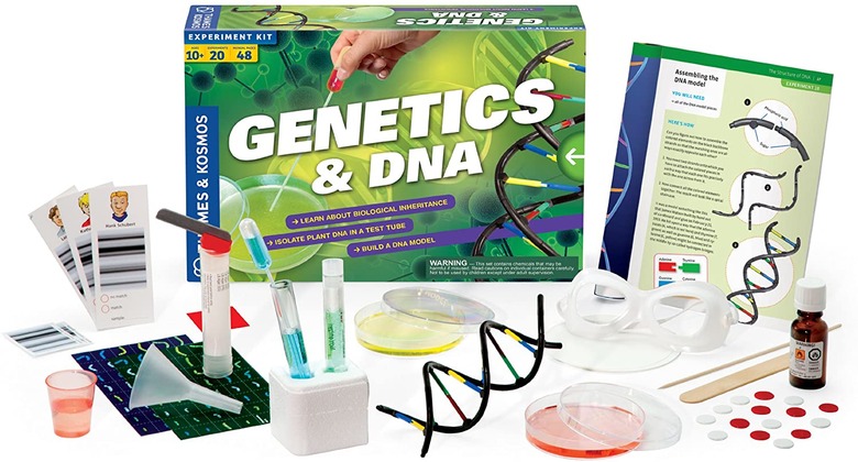 Thames and Kosmos DNA Model Kit