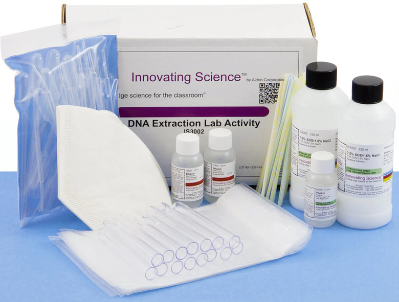 Home DNA Kit from Innovating Science