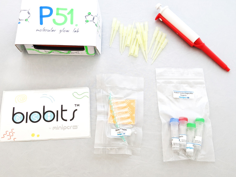 BioBits Molecular Biology Science Kit