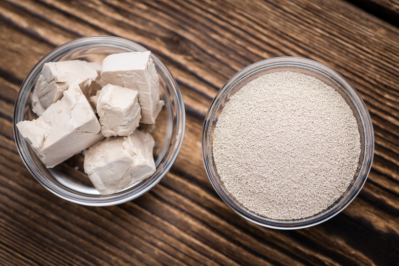 Portion of Yeast (fresh and dried)