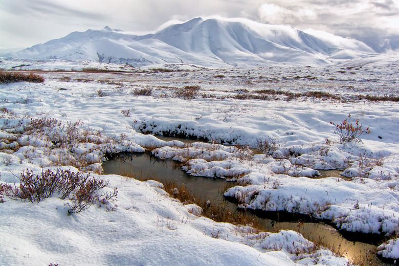 Pools in the tundra mountains