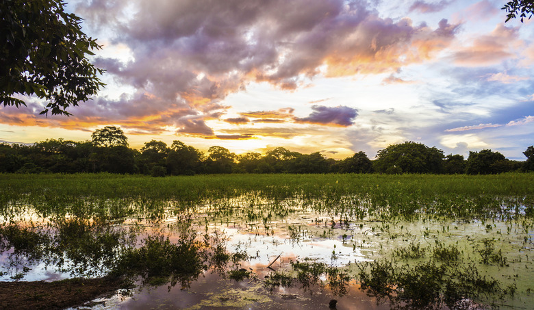 Colorful sunset in Pantanal, Brazil