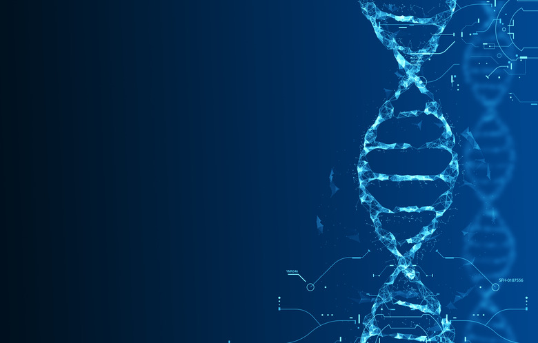 What Breaks Apart a Double Helix of DNA?