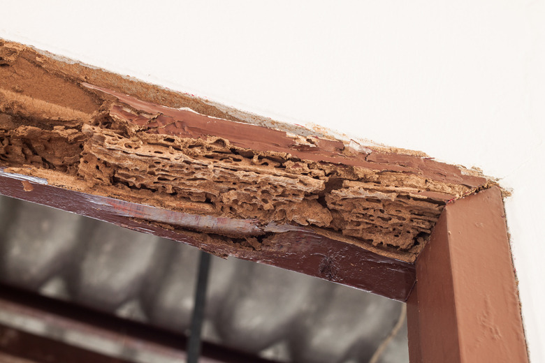 Timber beam of door damaged by termite