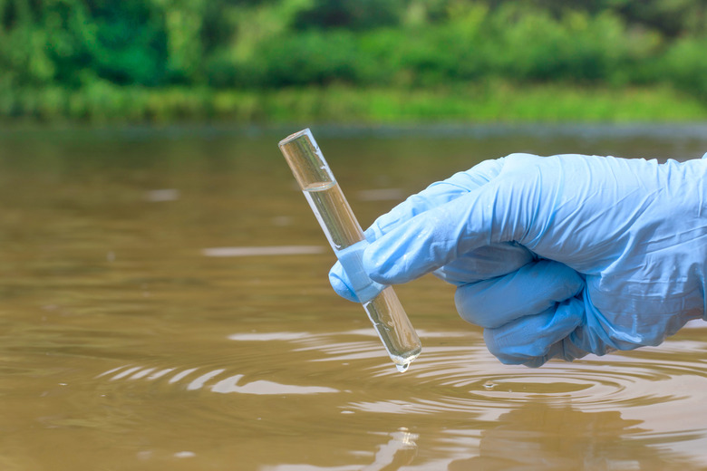 Sample water from the river for analysis. Hand in glove