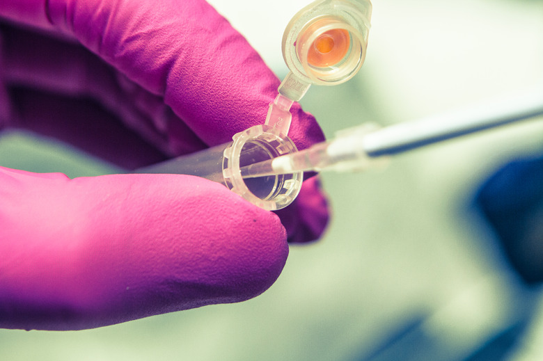 Eppendorf Tube and Pipette During Scientific Research