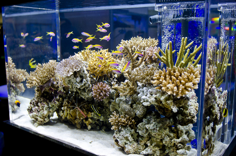 Marine Aquarium Tanks