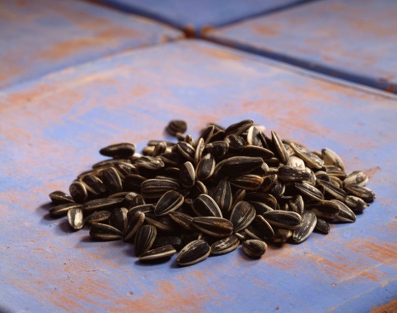 Can You Feed Roasted Sunflower Seeds to Birds?