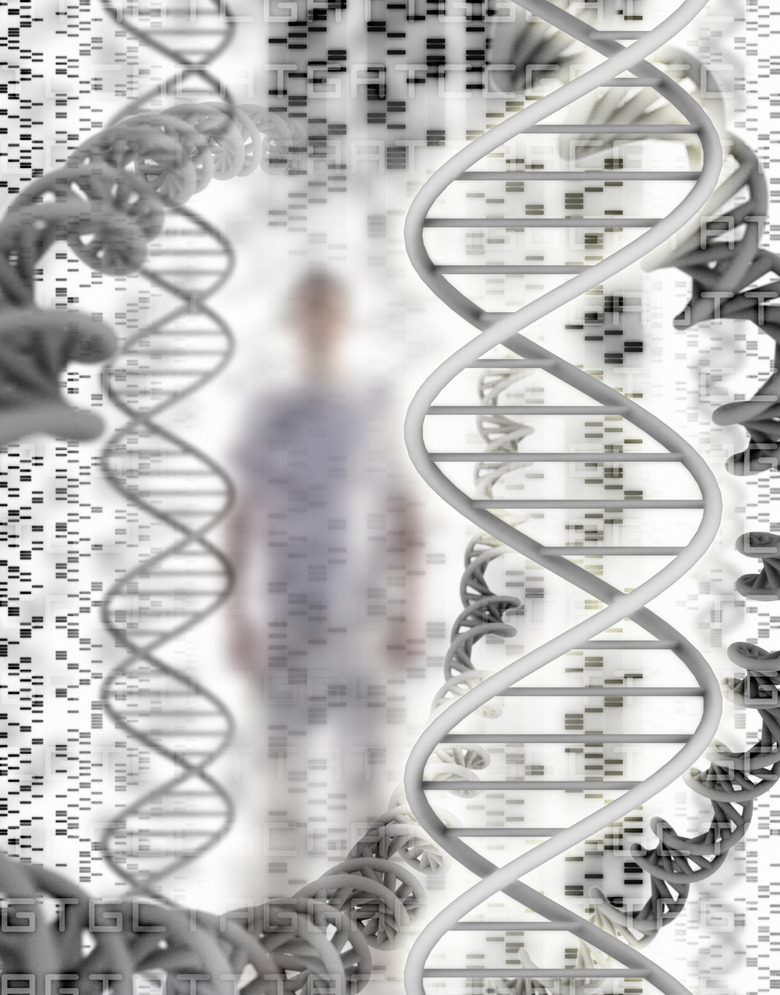 DNA sequence and helix models, man in background (Digital Composite)