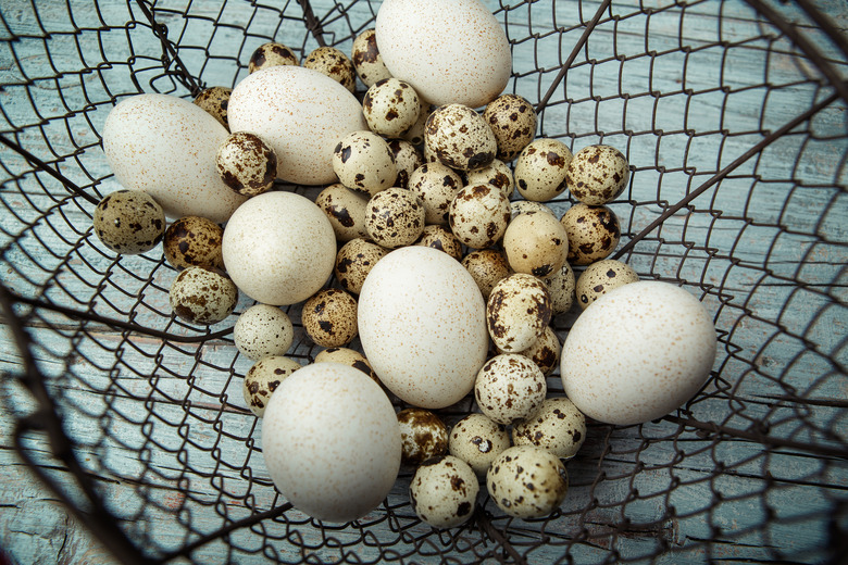 Duck and Quail Eggs