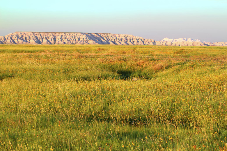 Buffalo Gap National Grassland