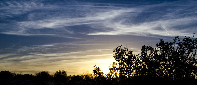 Edwards Plateau Skyline