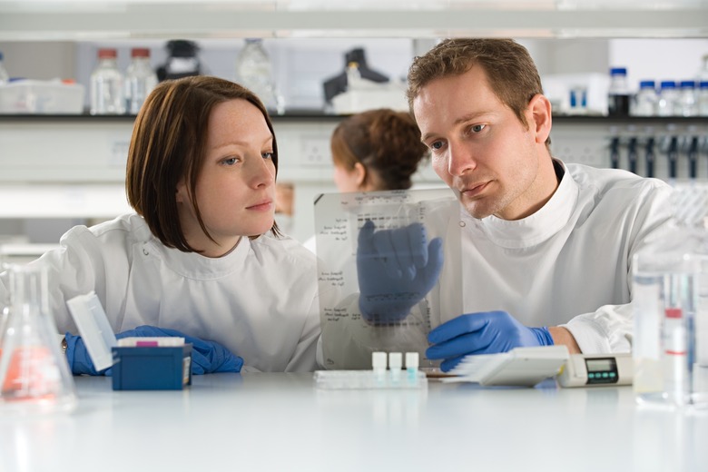 Two scientists looking at DNA