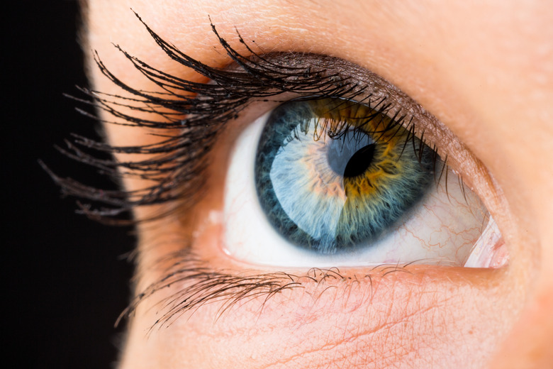 beautiful eye macro