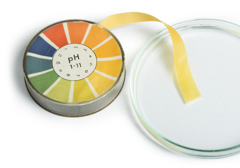 Petri dish and pH test tape set