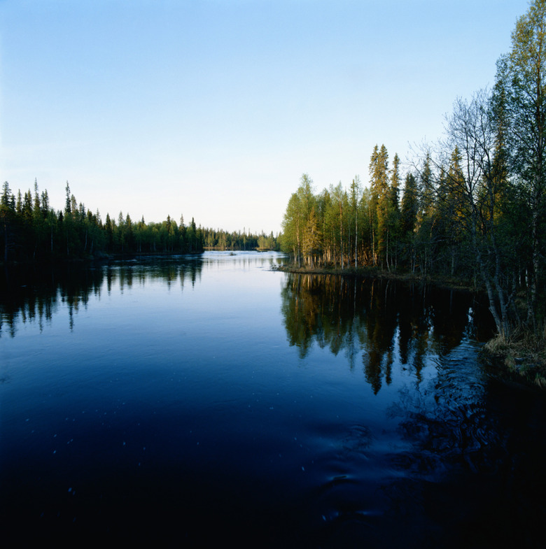 River in forest