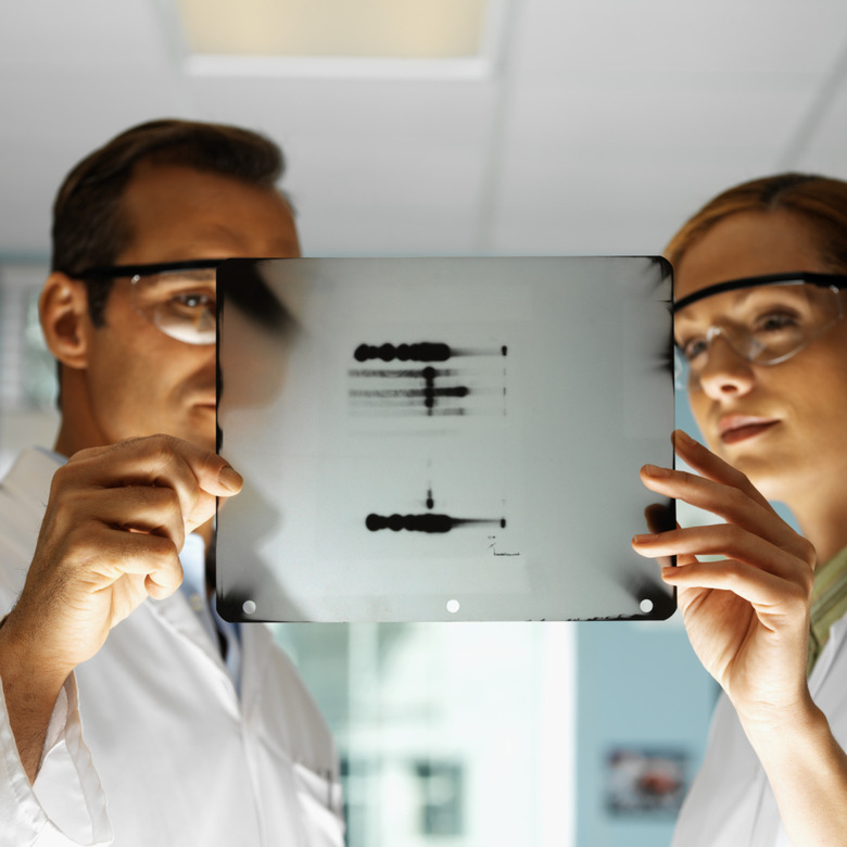 Portrait of young microbiologists holding an x-ray film with a dna pattern