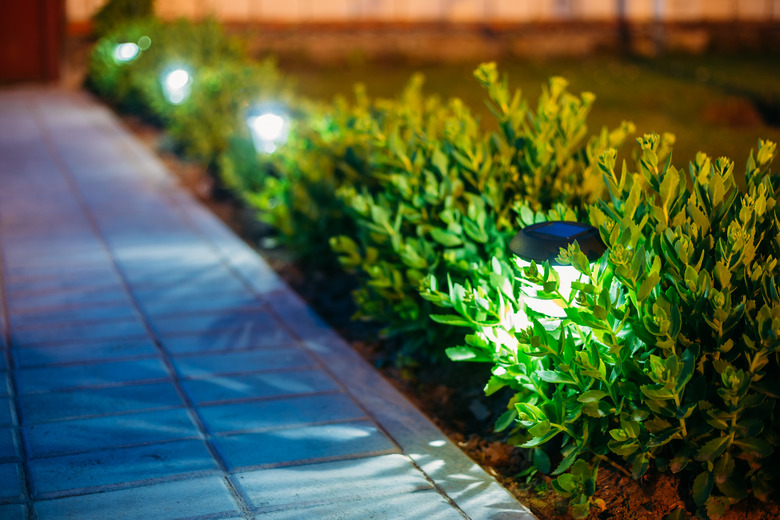 Solar Garden Light, Lanterns In Flower Bed. Garden Design