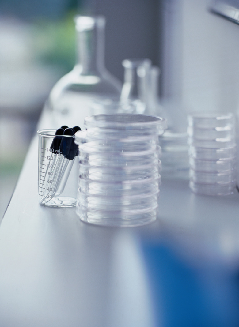 Petri Dishes Beside a Beaker Filled with Droppers