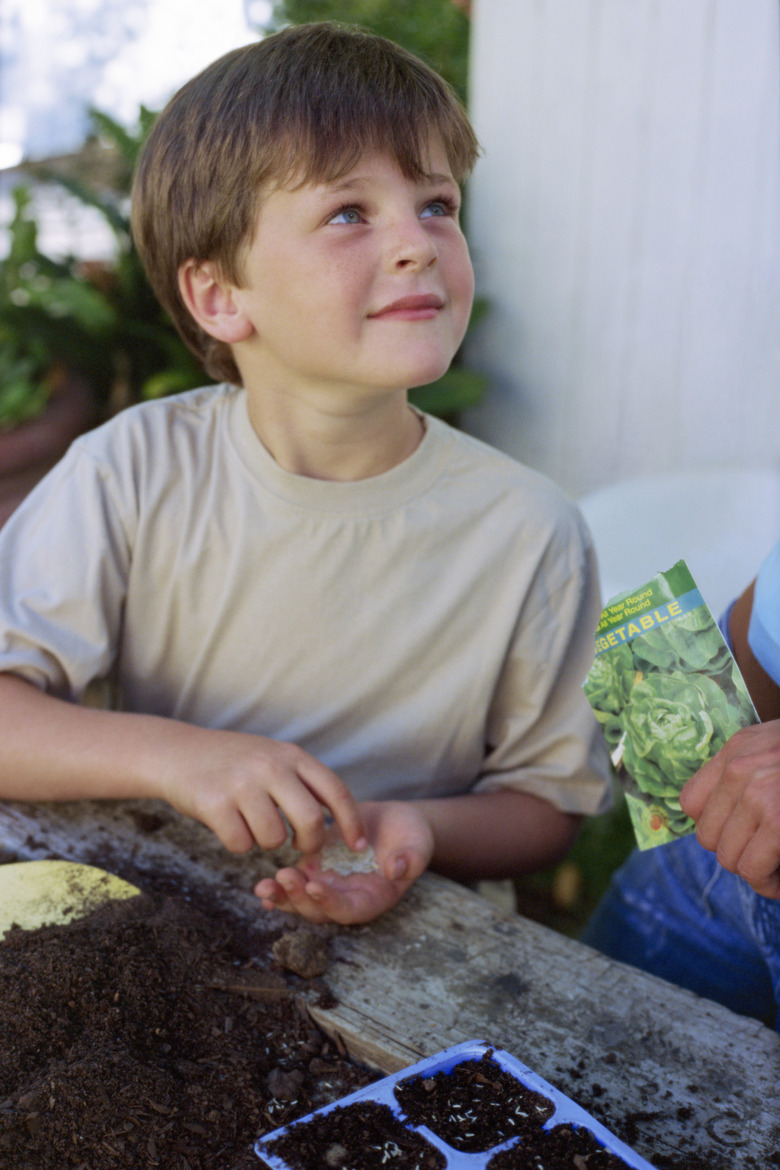 Boy with seeds and soil