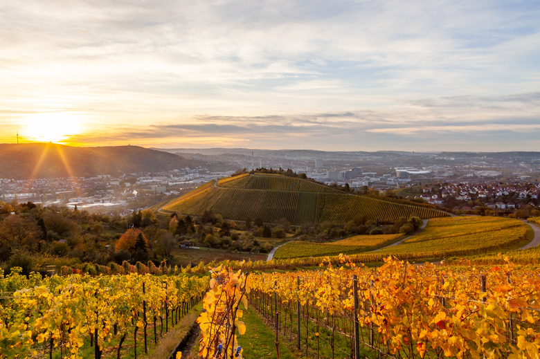 Autumn sunset view of Stuttgart sykline overlooking the colorful vineyards. The iconic Fernsehturm as well as the soccer stadium are visible. The sun is about ot set over the Neckar Valley.