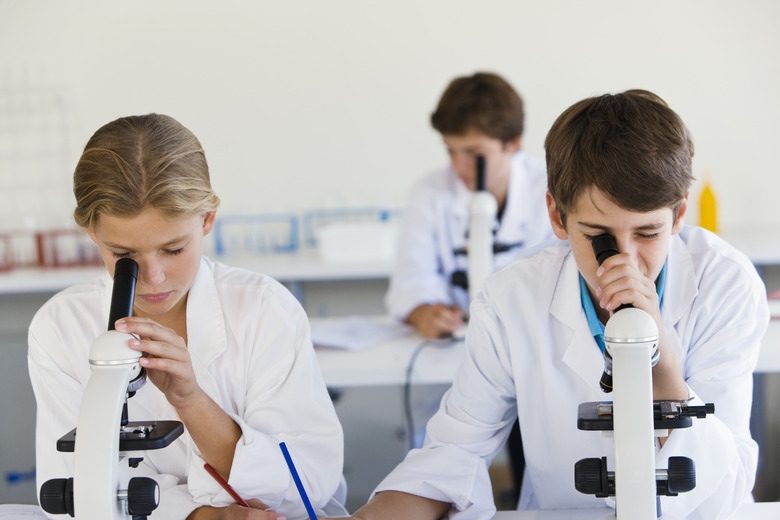 Students looking through microscopes