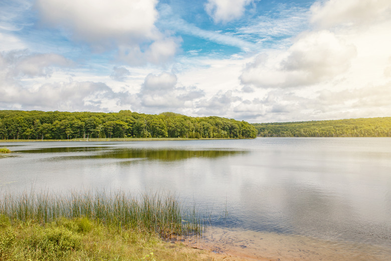 Beautiful Landscape Day View At Canadian Ontario Kettles Lake In Midland Area. Canada Forest Park