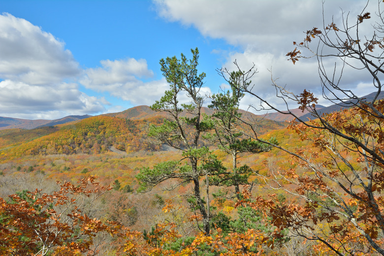 Cloudscape in autumn taiga