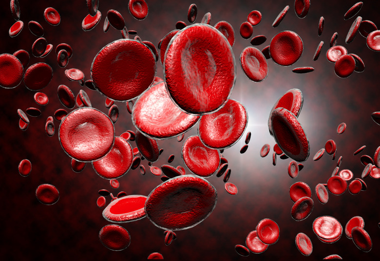 Red Blood Cells