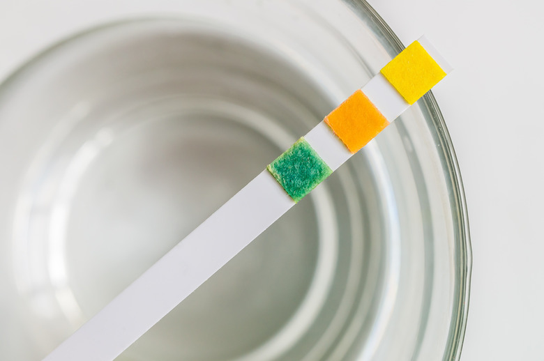 What Are the Differences Between Litmus Paper & pH Strips?