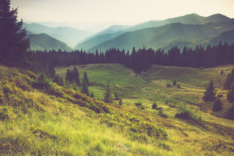 Misty summer mountain hills landscape.