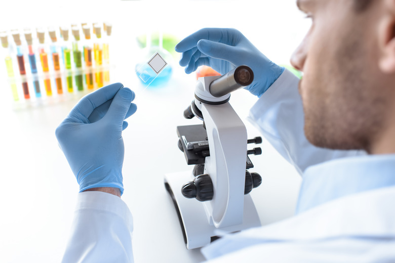 concenrated scientist working with microscope in laboratory