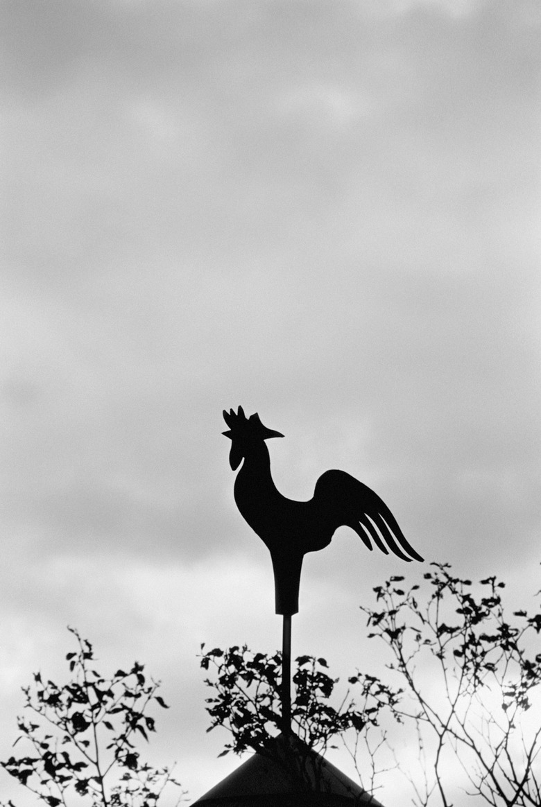 Old-fashioned weather vane