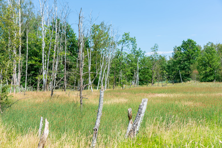 Nature reserve Soos