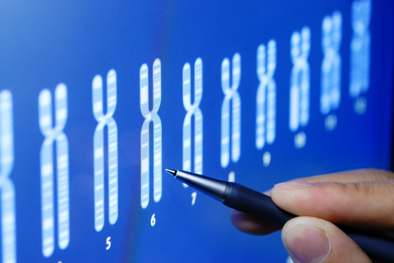 Scientific research and study on chromosomes