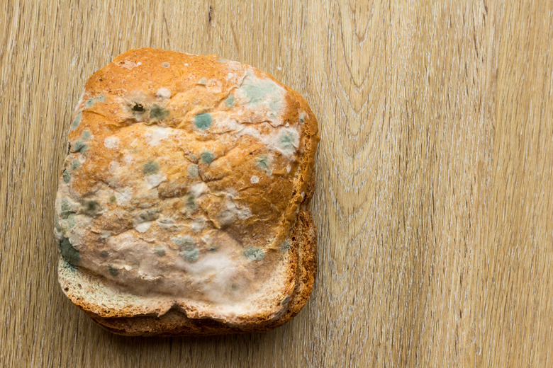 Mouldy Bread