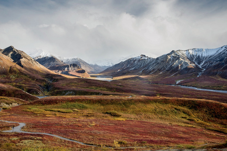 Autumn tundra in Alaska Range