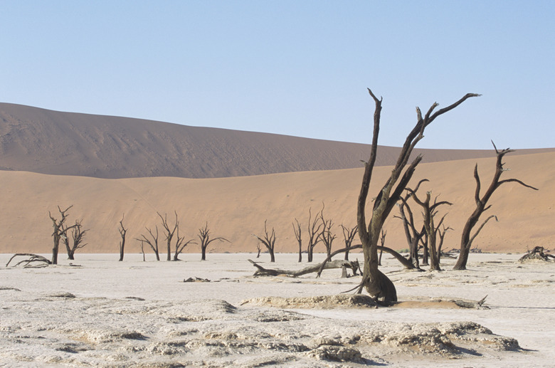 Dead Vlei, Namib Desert, Namibia, Africa