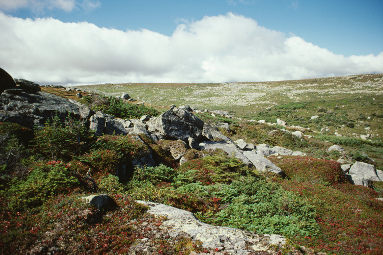 Gros Morne National Park, Newfoundland, Canada