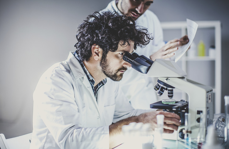 Scientists Working in The Laboratory, Using Microscope