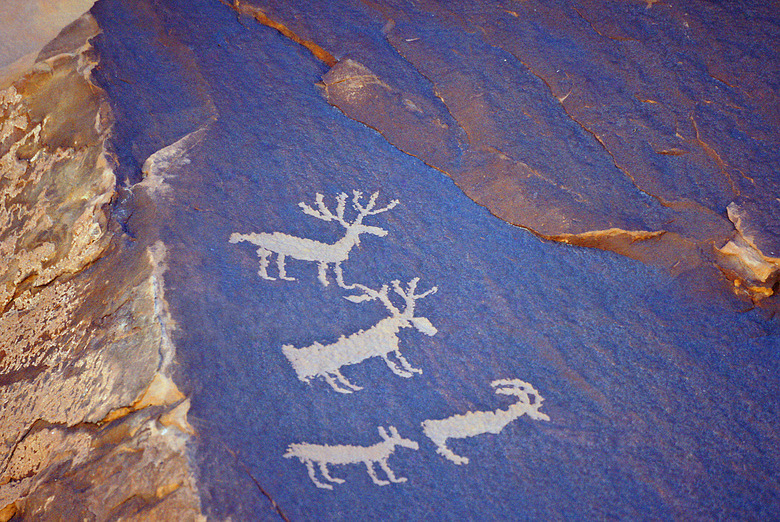 Animal cave painting