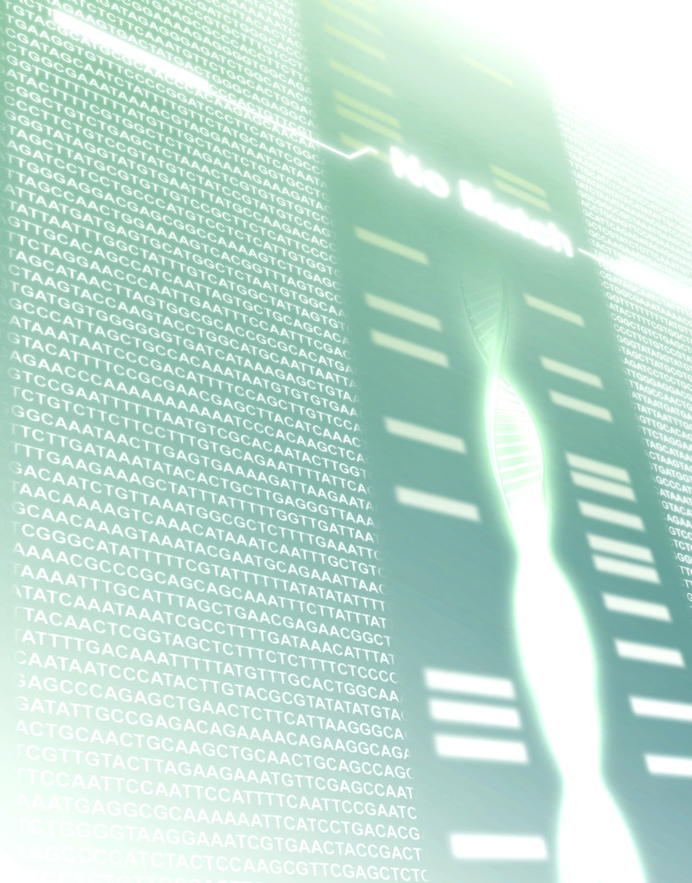 DNA Recognition and Matching