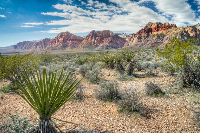 Red Rock Canyon National Conservation Area