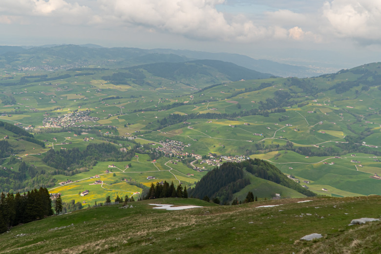 Panoramic view of green meadow