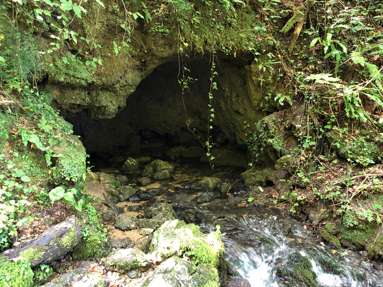 The spring of the Jankovacki creek in a Forest park Jankovac or Izvor Jankovackog potoka u Park sumi Jankovac - Papuk nature park, Croatia