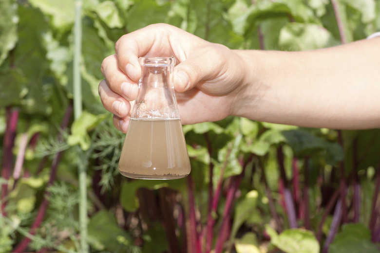 researcher testing the water quality