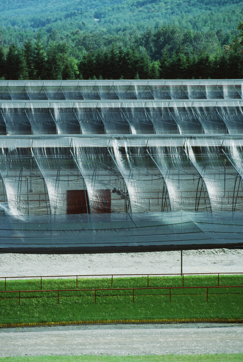 Greenhouses in Quebec, Canada